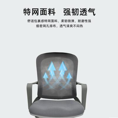 人体工学椅电椅家205C舒适久用坐椅学生滑轮公椅可升办降电竞椅脑