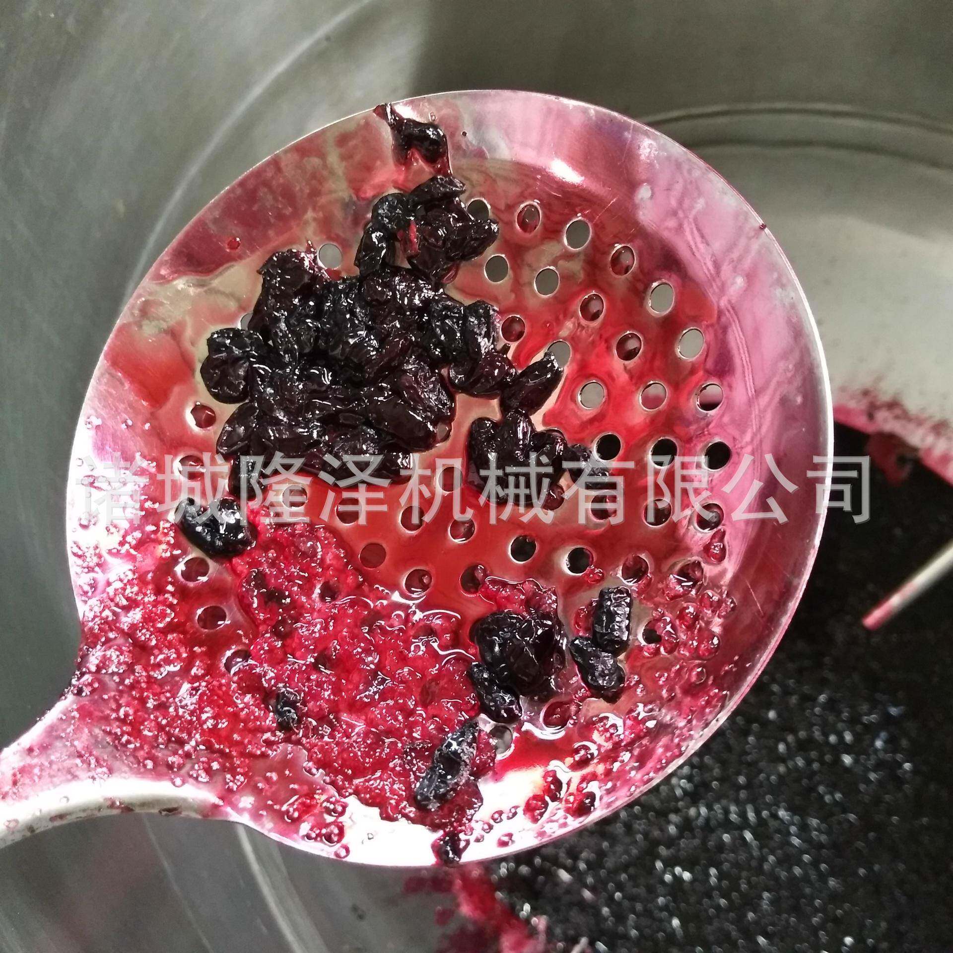 覆盆子真空渗糖锅浸糖加工设备果脯真空低温浸渍锅