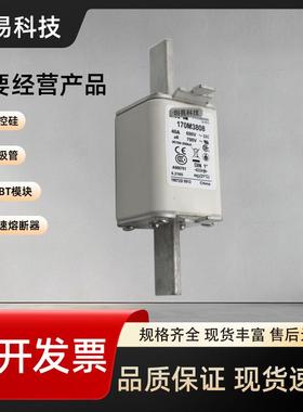 170M3808170M3809170M3810170M3811170M3812170M3813熔断器