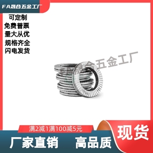 洛帝牢防松垫圈国产替代Nord-Lock楔形垫圈NL5S/6/8/1012 NL6SPSS