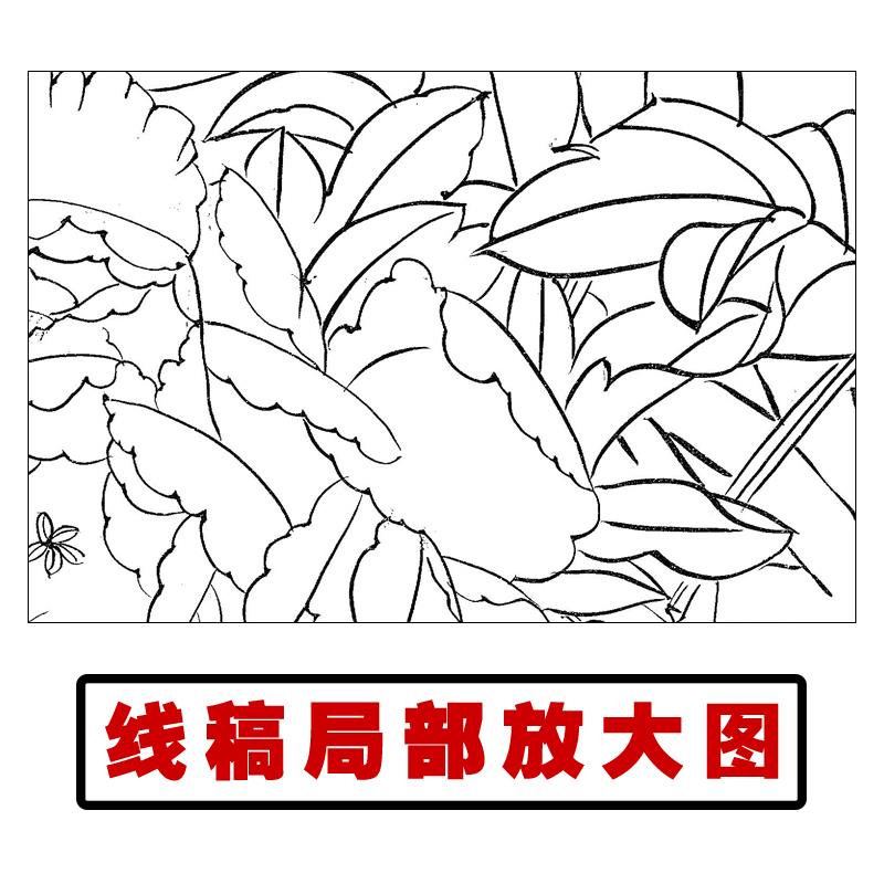 郝良彬工笔习画丹牡白描底稿国画鸟素材临摹练VXM线描花稿实物打