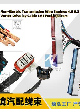 LS1 T56 DBC发动机线束97-06 变速箱汽配线束4.8 5.3 6.0l Vortec