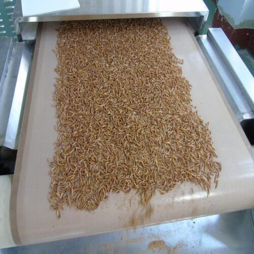 黄粉虫微波烘干杀菌设备一体机微波干燥烘干设备