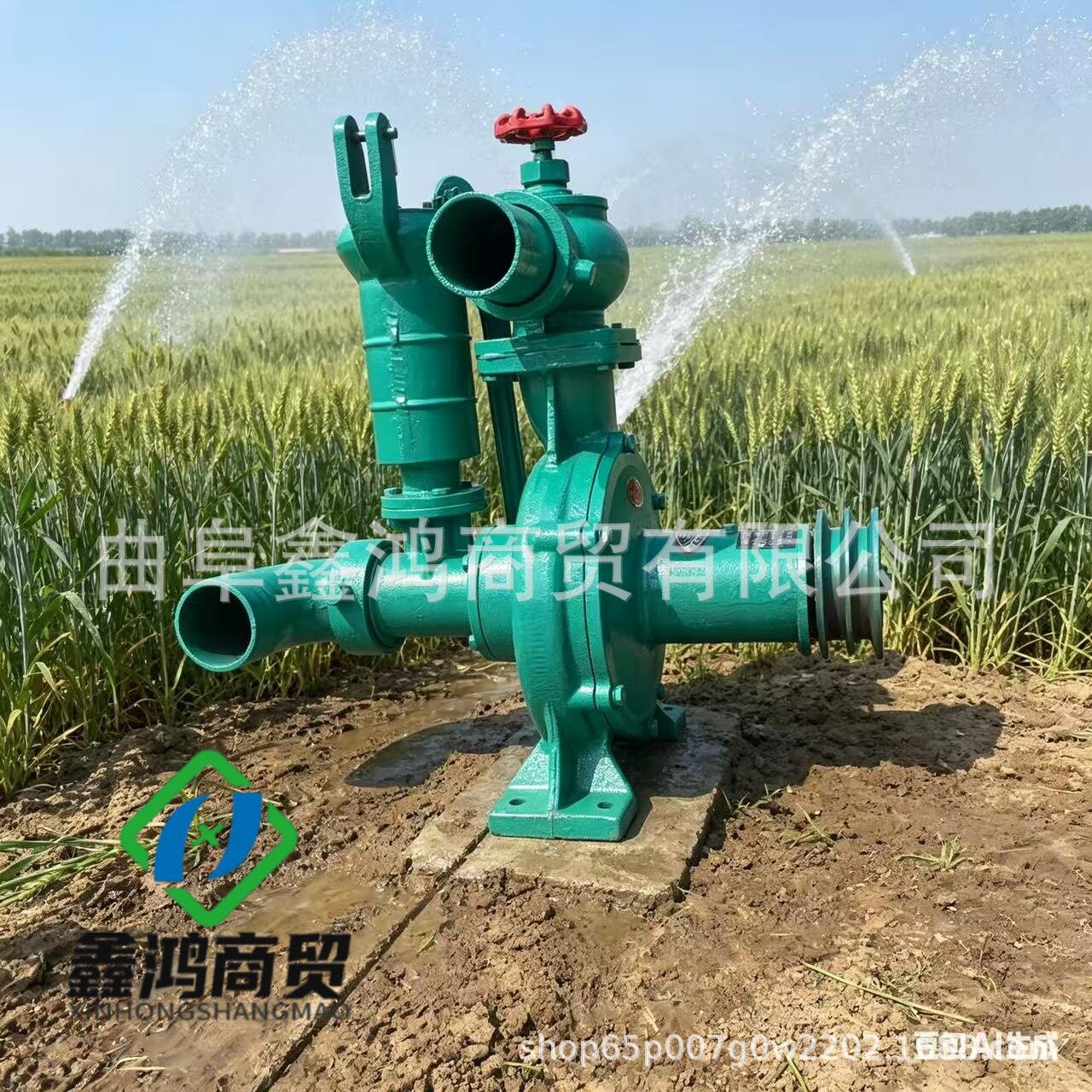3寸单叶轮增压泵三鱼泵小型高压泵滴灌专用水泵农田灌溉蔬菜