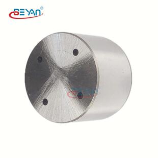 2JDE28731LR011208LR038311高压泵柱塞适用于捷豹路虎