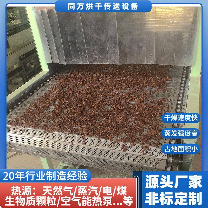 厂家供应小型链板食品干燥机平板线瓜子花生干果热风烘干机定制