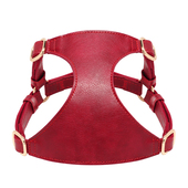 狗狗牵引绳小型犬胸抱婴袋背心式 幼犬茶杯小体泰迪博美法斗遛狗绳