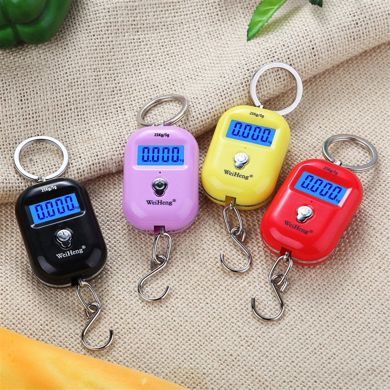 买菜秤威衡手提称快递秤行李秤充电电子秤家用吊钩称弹簧称钓鱼秤