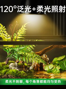 其鳞爬宠UVA加热灯乌龟晒背灯日灯UVB灯蜥蜴守宫饲养箱保温太阳灯