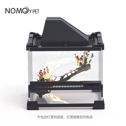 爬虫前开门玻璃缸雨林缸爬缸守宫睫角树蛙蜘蛛爬宠生态造景饲养缸