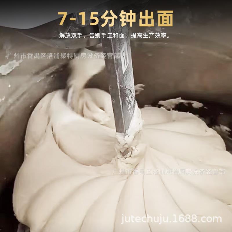 丰商用力和面机H20FH306305FH50FH60C大型立式速打面机2公斤揉双