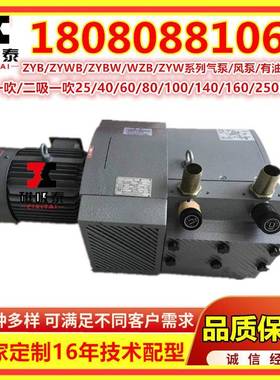 ZYWB10E/VERF/B真空压0力复合泵气/风泵4.5KW泡吹吸负压灯抽气旋