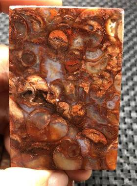 红厂家一手2011无螺天珠法螺平安事牌