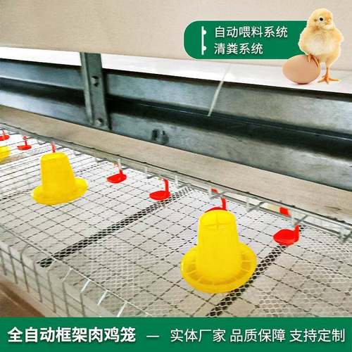 蛋鸡养殖叠备热KAQ镀锌全自动设立体式养鸡设备化自动层养鸡全套