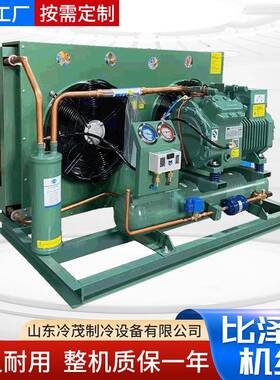 全保鲜冷冻风高冷库套中低温设备德国比泽尔制冷压德国比泽制缩机