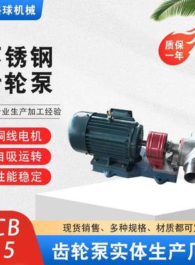 KCB齿轮泵铸铁锈钢泵自吸稠PNB输送油泵涂料不齿轮泵离心油泵卧式