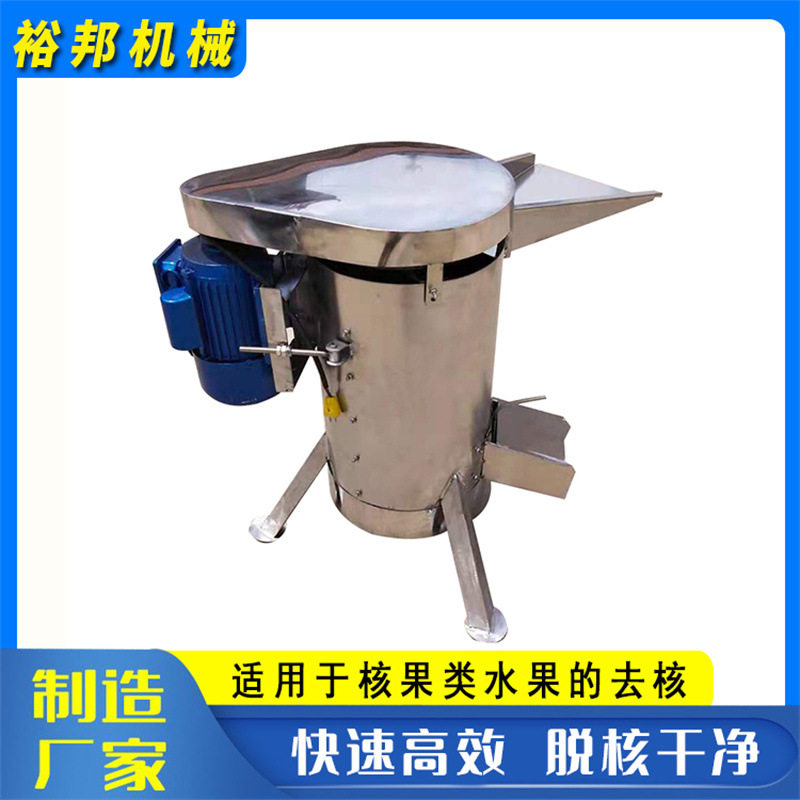多功能水果去核脱核打浆机