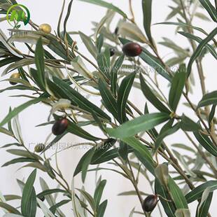 可拆橄榄树假植绿盆栽室内橱窗装饰仿真树网装大红型001仿真橄榄