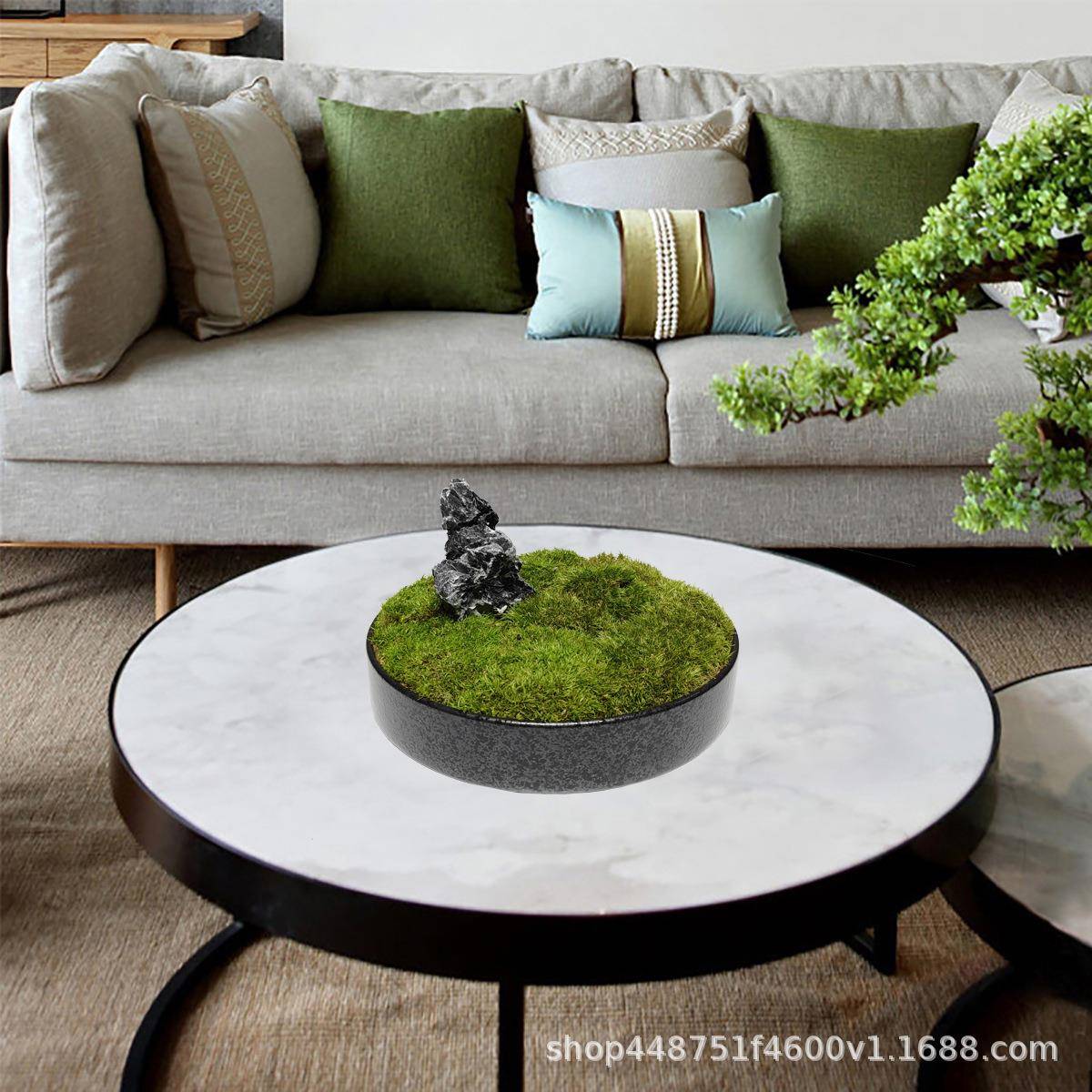 现代永生青面苔微景观桌仿真藓植苔盆景样CTS物板房茶几桌面装饰