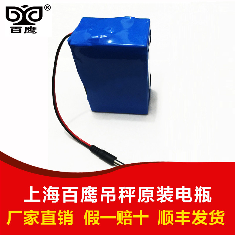 上海百鹰3t5吨10T15t电子吊秤原厂电瓶20-30吨无线打印吊称蓄电池