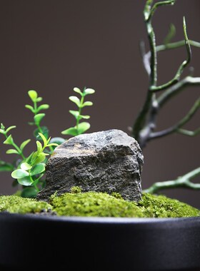 现代永生苔藓微景观摆件样板房茶几盆景造景客厅办公桌面花艺装饰