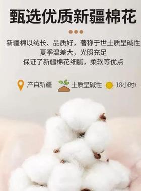 件全棉床单单枕件10纯棉被单套单人床hyf20242儿童学生宿舍三套02