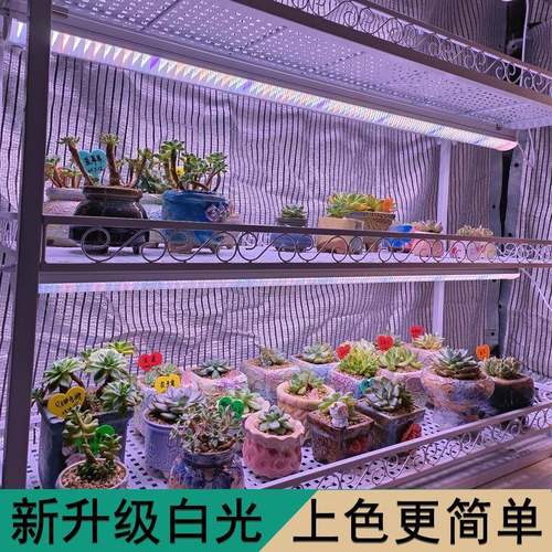 my中亚多谱肉补光灯上色全光led植物灯ANX室生长灯家用内防徒仿太