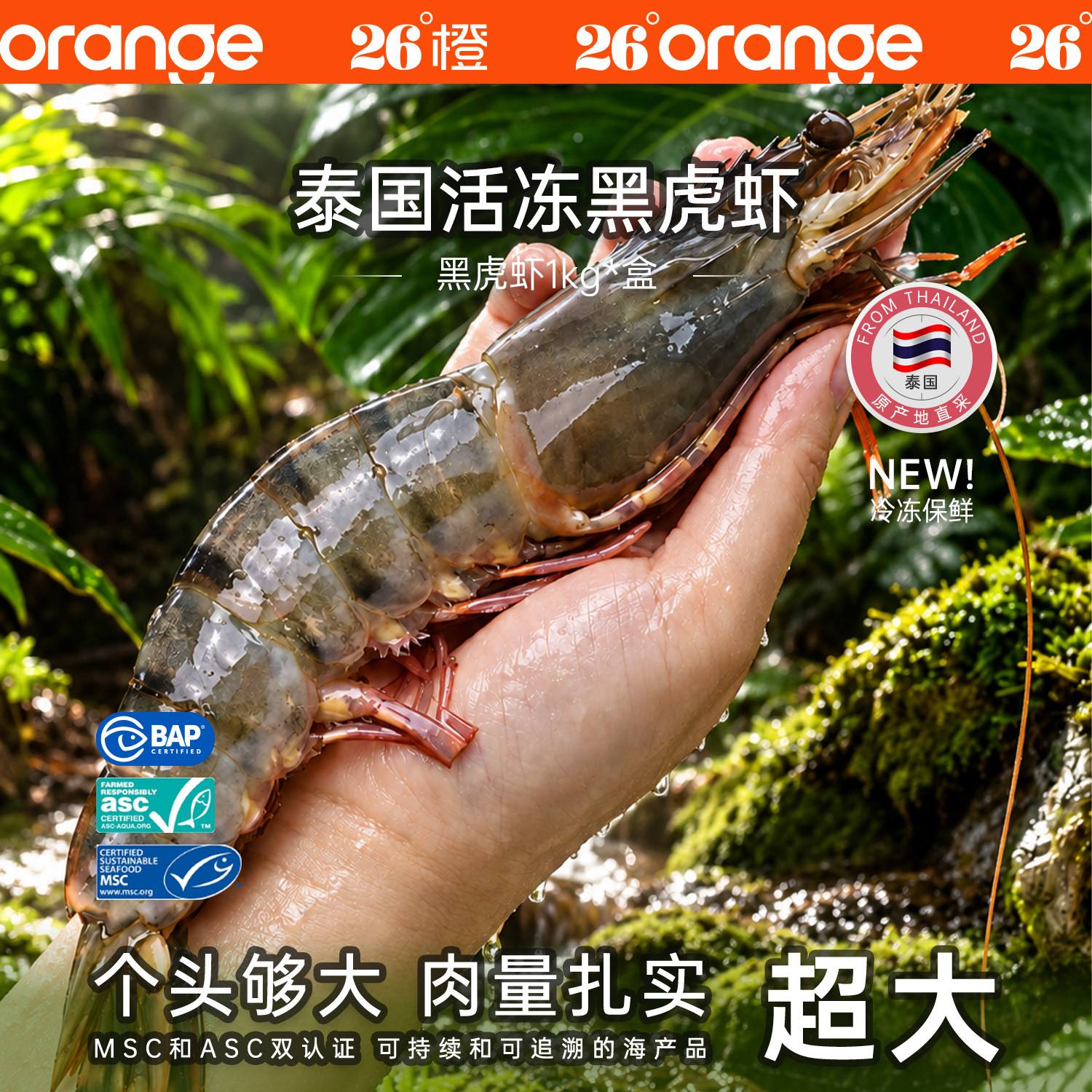 26°橙 泰国活冻黑虎虾超大规格斑节对大虾进口海鲜生鲜烧烤食材