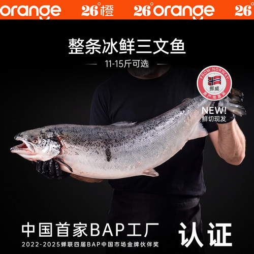 26°橙挪威H-111法罗皇冠三文鱼