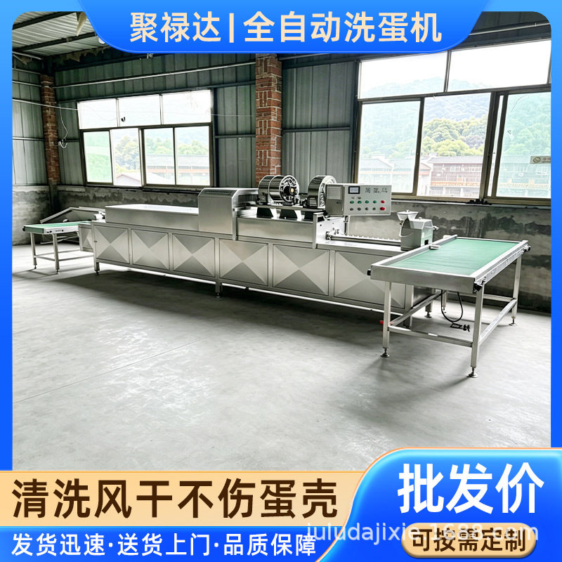 全自动洗蛋机不锈钢商用蛋品清洗机新款鸡蛋泥包蛋清洗机设备