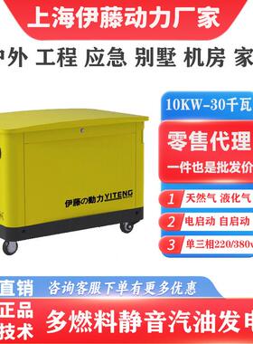 上海伊藤动力YT20RSE超静音汽油发电机多燃料家用自启动停电ATS