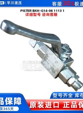 德国匹斯特 PISTER BKH-G1/4-06 1113 1 压球阀 全新原装