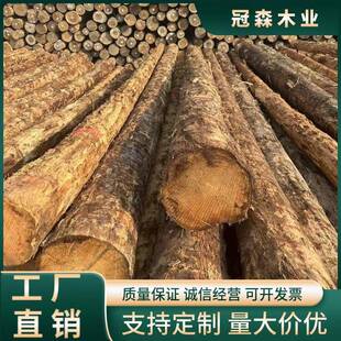 大量出售铁杉原木防腐防汛木桩圆木落叶松原木桩工地建筑用松木桩