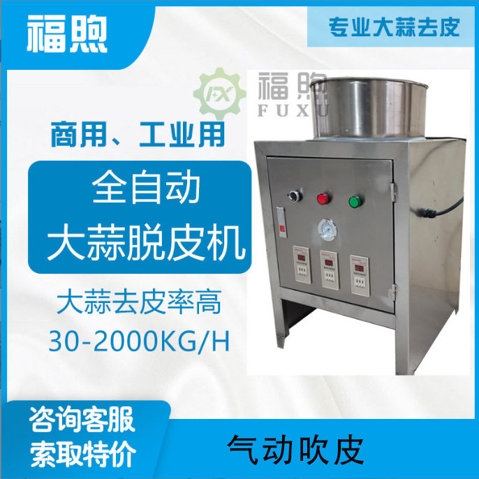 小型商用无损伤大蒜剥皮机厂家直销农贸市场用大蒜去皮机
