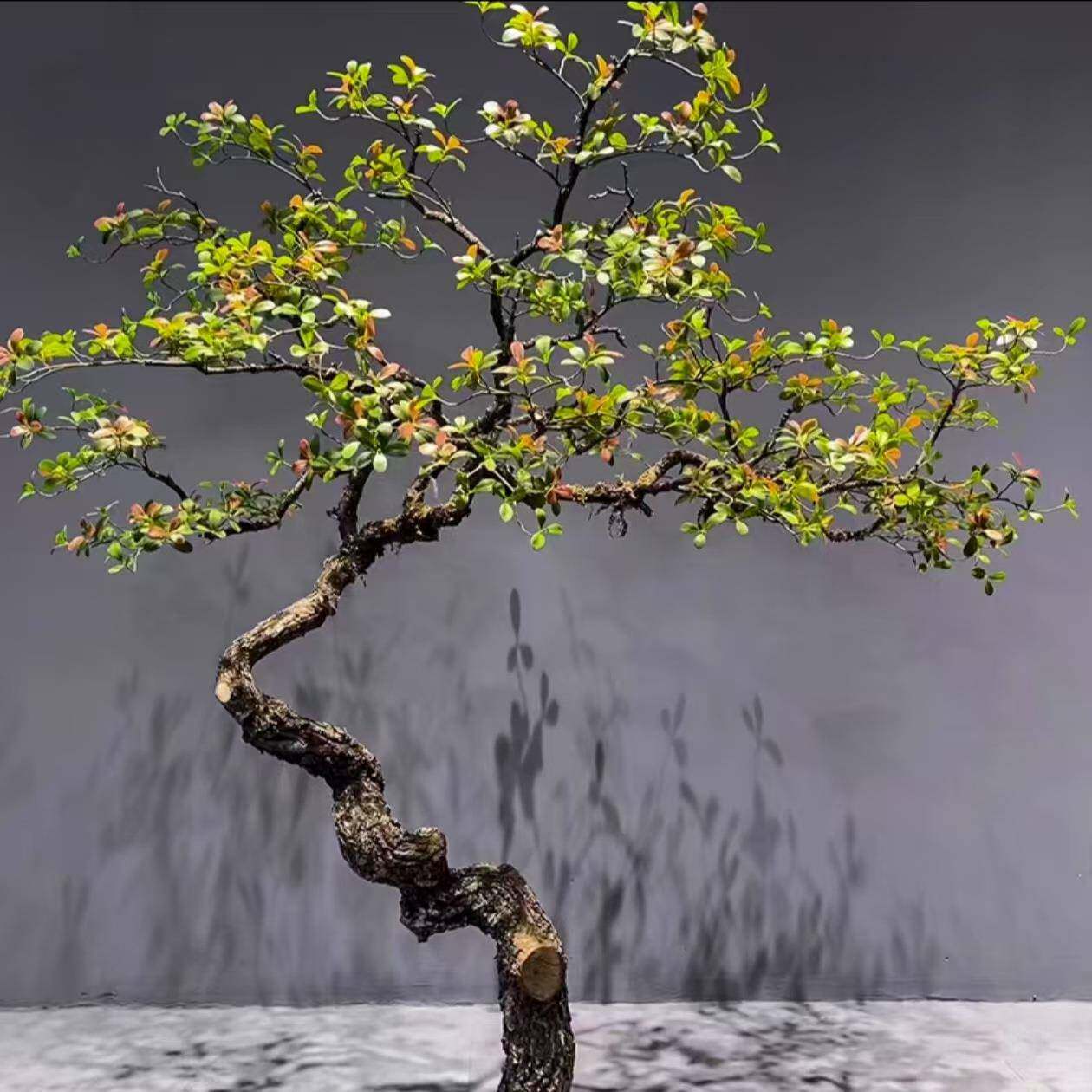 75395145岛精品海春花仿真简绿植景室内装饰造景落地摆件约植物中