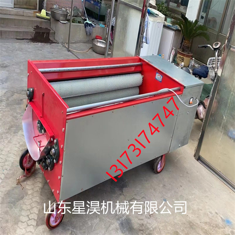 青皮核桃剥皮机核桃去青皮机鲜核桃剥壳机青核桃去壳脱皮机