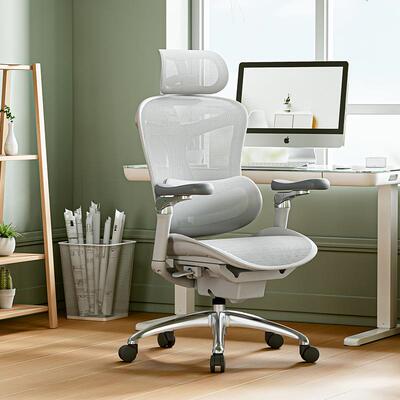 人体工学椅DoroC300久坐舒适电脑椅办公座椅电竞椅子老板椅