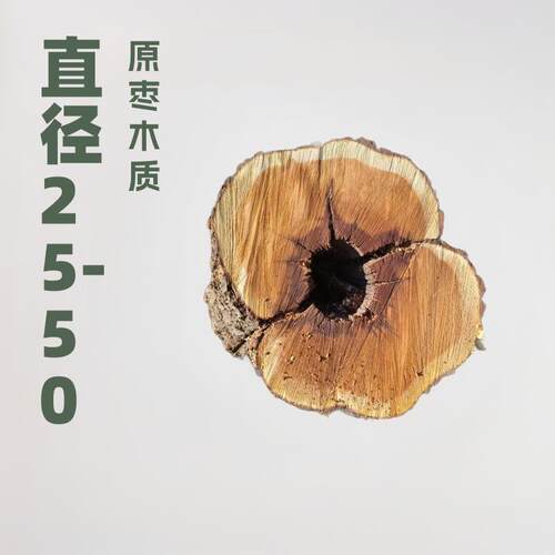 直售雷击木枣木直径25-50CM雕刻雷击木原枣木墩用料烧烤枣木