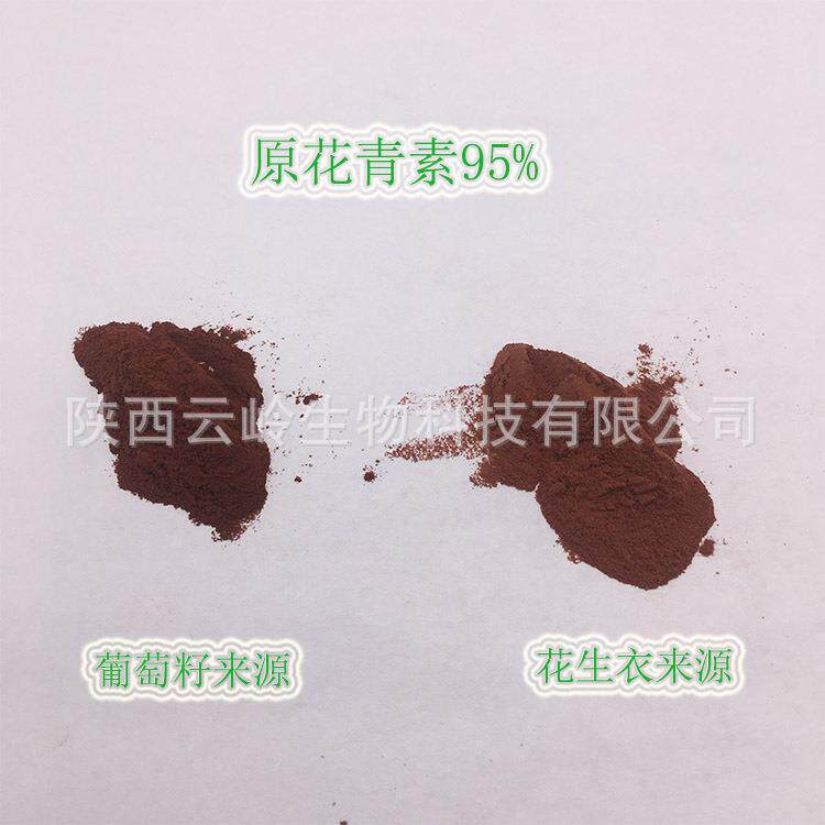 水溶葡萄籽提取物花生衣提取物葡萄籽原花青素95%原料粉OPC