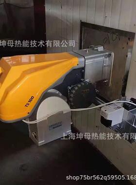 DOWSON道森燃烧器TS100