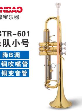津宝JBTR-601小号乐器降B调学校管乐队专业演奏小号磷铜/白铜
