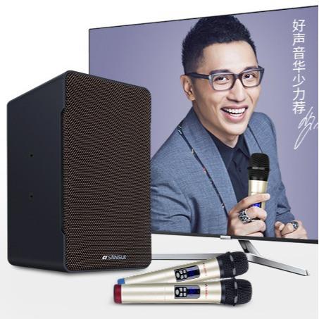 山水H13家庭ktv音响家用电视K歌会议客厅家庭影(不含点歌系统)