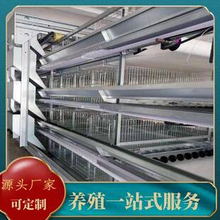 全自动小层叠蛋鸡养殖笼具笼养鸡用设备三层四层蛋鸡笼