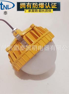 SW7151-50W防爆LED泛光灯平台灯护栏式吸顶式