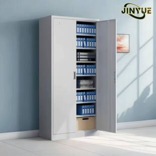 铁皮门文大器械柜件柜掩门九档层凭证简易带锁办公室储物柜资料案