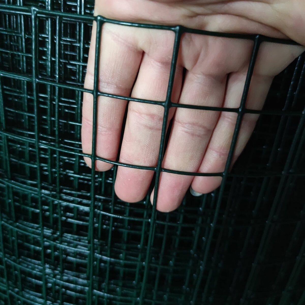 硬塑小孔荷兰网铁丝网防锈养鸡隔离圈地果园鱼塘养殖网围栏栅栏