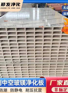 防火玻镁MMS隔芯彩钢板洁净室断墙阻燃保温板机制中空玻夹镁净化