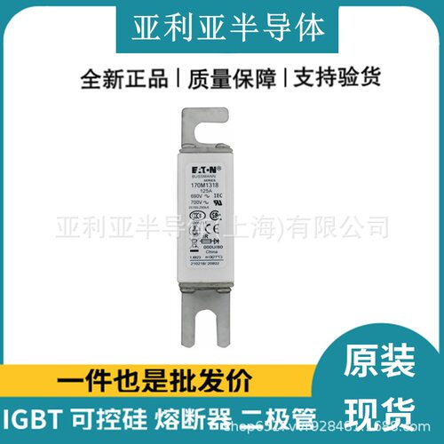 170M1318 170M1319 低压熔断器 熔断器底座 半导体电子元器件