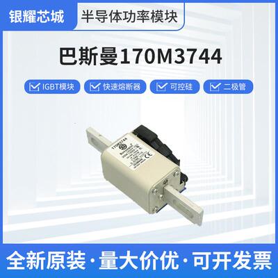 巴斯曼170M3744限流式熔断器