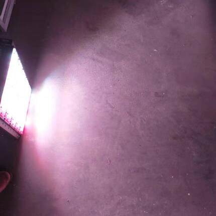 全光谱红蓝白红蓝红白防水大棚LED补光灯促生长延长开花提高产量